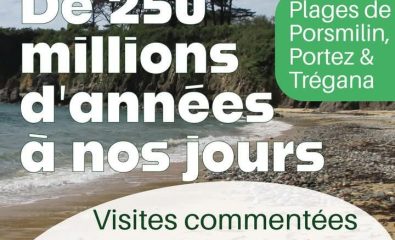 Report de "250 millions d'années à nos jours"
