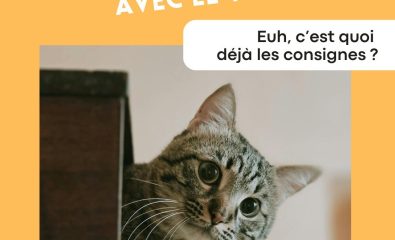 Pays d'Iroise Communauté - Déchets Fêtes réussies avec le tri !