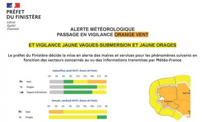 ⚠️📣Attention approche de la tempête Goretti - Vigilance Orange Vent
